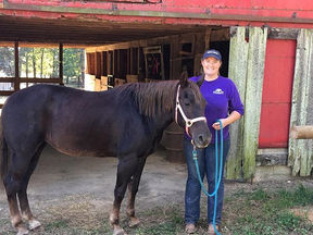 Penny Our Rescue Pony