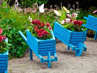 7 Amazing Landscaping Trends That You Should Try in 2020