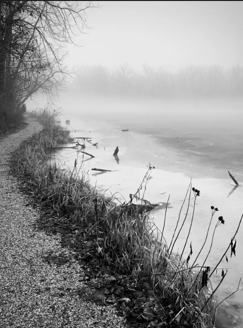 "Misty Midwinter Trail," by Thomas Barthauer