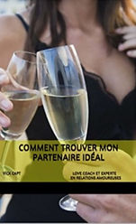 Capture d’écran 2020-10-26 à 16.13_edited.jpg