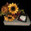 Thumbnail: hoover disk pack