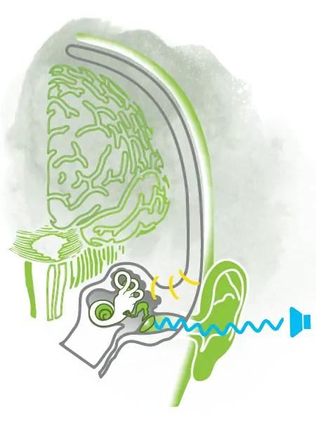 polyvagal-2.webp