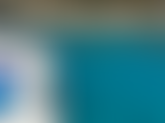 ⛵ Perché Scegliere un’Esperienza Privata in Barca a Vela