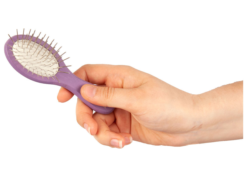 Show Tech Mini Houten Pinnenborstel Paars 12 cm