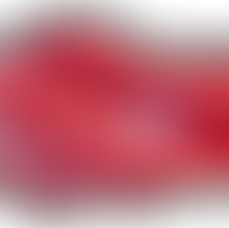 Erdoğan Profesyonel Hizmetler Grubu, İstanbul, Ankara, Hatay, Kayseri ve Antalya’da Yetkili Temsilciliklerini Açtı