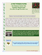 tn_Posy 11-20 pg1.gif