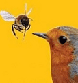 bird-and-bee.gif