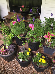 planters3.jpg