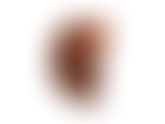 Brickerl-Eis kommt wieder zurück