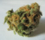 Cannabis bud
