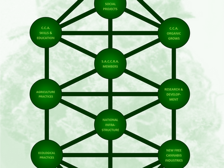 CANNABIS - THE GREEN GOLD STANDARD