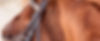 manny background_edited.jpg