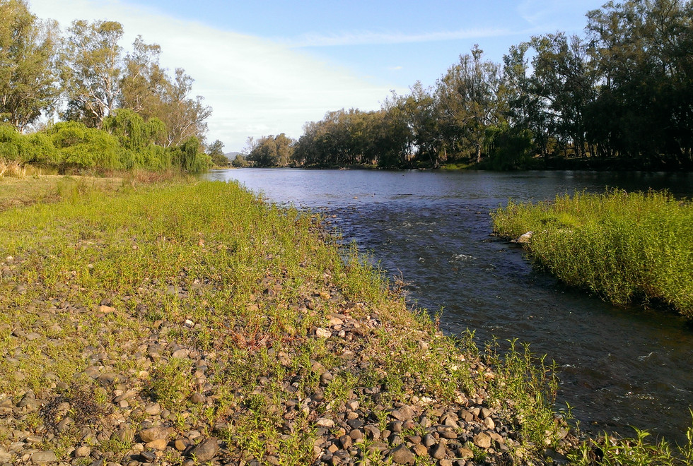 About the Border Rivers Valley | BRFF