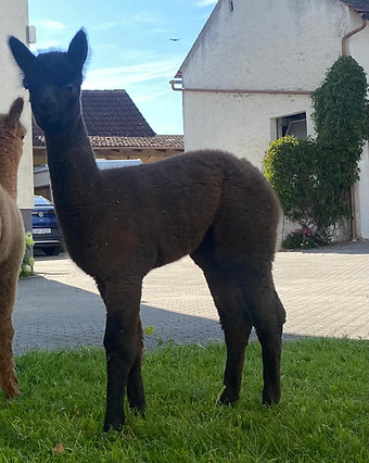 0-02-05-22e29846624015abc29b119b0d588a1db6bc16cb53528e00d9d7d63584ed42f3_eabb6902d7b8a5ac.