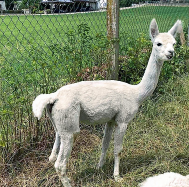 0-02-05-2ab14867d1c9656d50de5d2bc86f3ac5