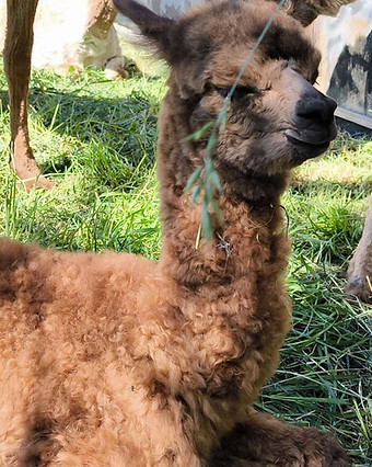 0-02-05-e86f6e334c03529945d965cda729746751c69c1dc2ffbfc1f97407d461fa33c9_c754c8d2b74765e4_