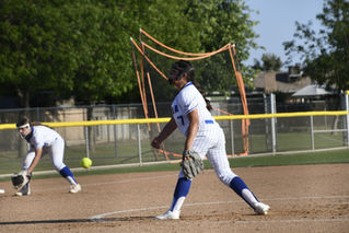 Coyotes grind out win over Hornets