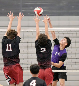 Stallions pick up win over Toros