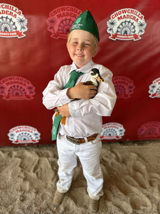 Successful Chowchilla fair for Alview-Dairyland 4-H