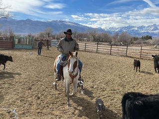 Long-time rider honored with Grand Marshal