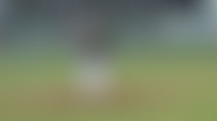 Liberty product readies for Year 7