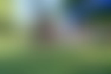 Evening Lions receives service award