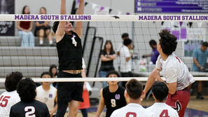 Stallions complete season sweep over Torres