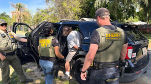 Burglary suspect arrested