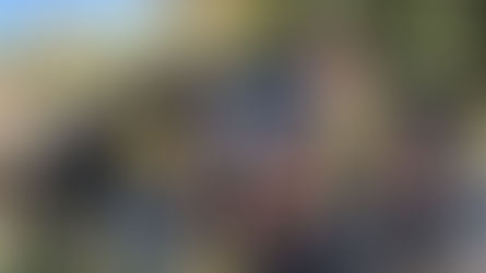 Burglary suspect arrested