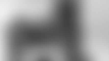 Madera’s jail couldn’t hold ’em