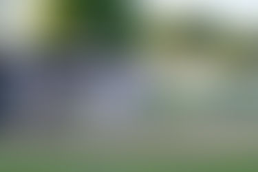 Stallions hot on a cold night