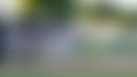 Stallions hot on a cold night