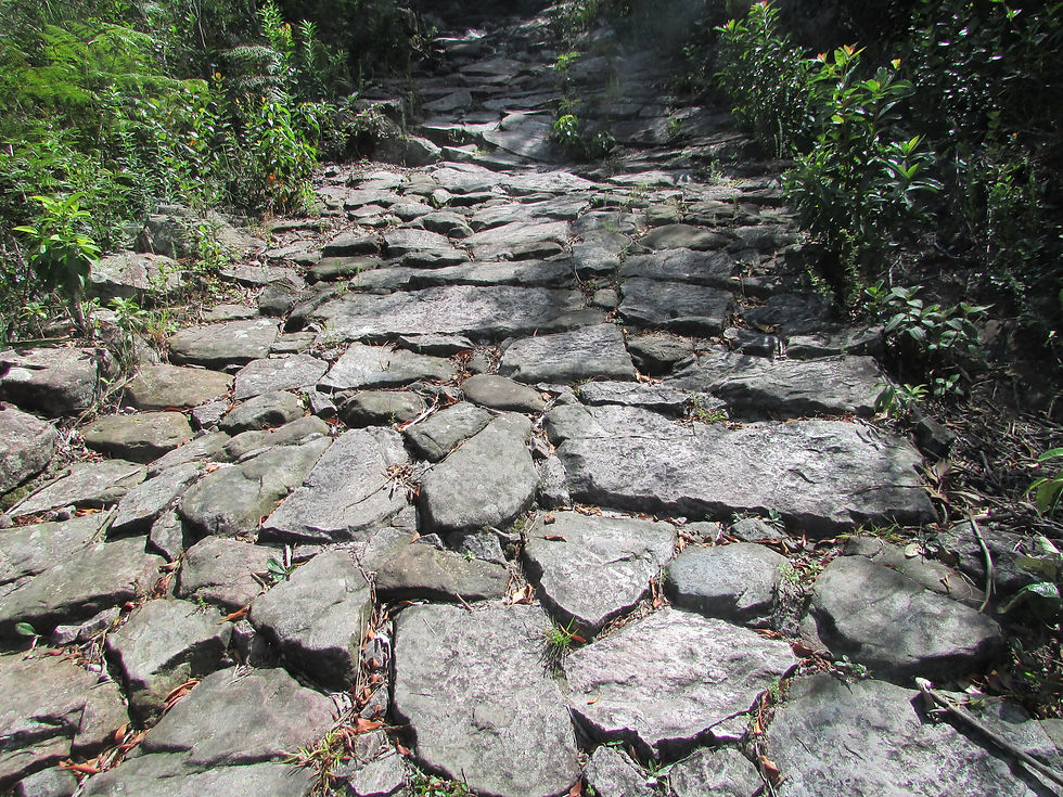 Pati Trekking