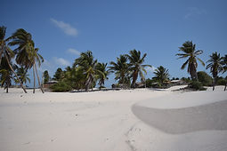 DSC_0395.jpg