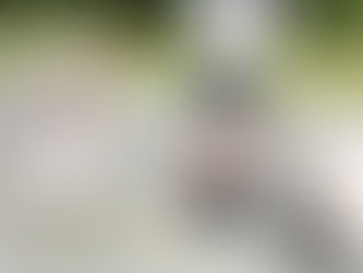 おしゃら探検隊が「ダンゴムシレース」に夢中!