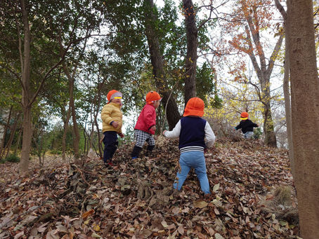 おーい!「お宝」こっちだよ!おしゃら探検隊は今日も行く