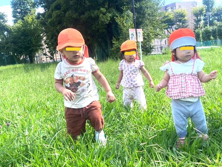 草むらを散歩