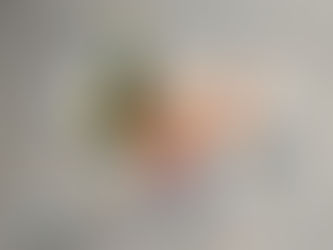 おしゃら探検隊がダンゴムシを見つけようと団子状態になっています