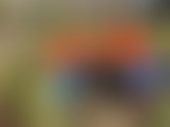 おしゃら探検隊 「お宝」の有りかを相談中!