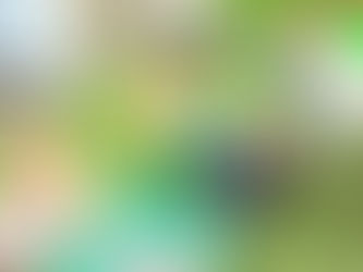 水遊びも回数を重ねて、だんだん大胆になってきました!