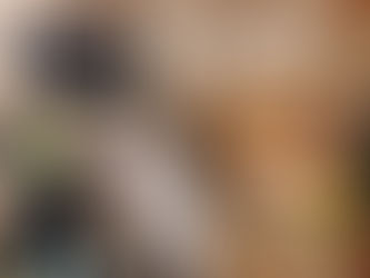 おしゃらフリースクール活動報告🏭