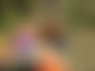 「お宝はここに眠っているの?!」おしゃら探検隊は、今日も行く。