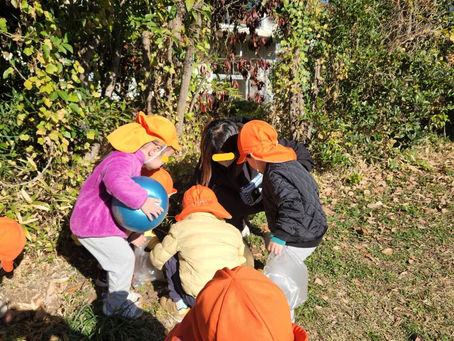 「お宝はここに眠っているの?!」おしゃら探検隊は、今日も行く。