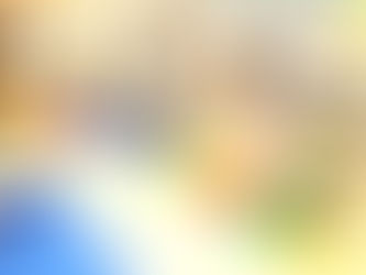 おしゃら探検隊「バランスストーン」で体幹を鍛える!