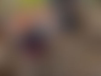 前人未到の地に足を踏み入れる「おしゃら探検隊だ!」