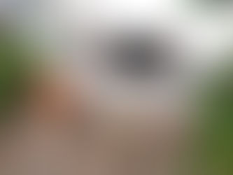 新2歳のおしゃら探検隊も「ポイポイ」に夢中!