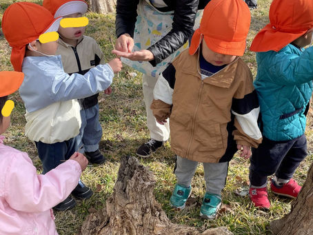おしゃら探検隊、ダンゴムシに遭遇!