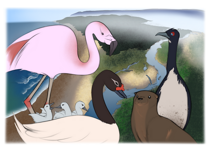 unnamed (1).png