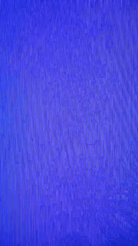 Animated GIF-downsized_large(1).gif
