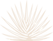 El_Tequileno_Agave_beige.png